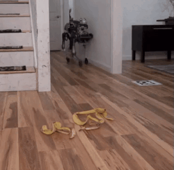 robot dog banana peel